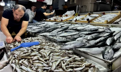 Balık tezgahlarında palamut, hamsi ve çinekop bolluğu yaşanıyor
