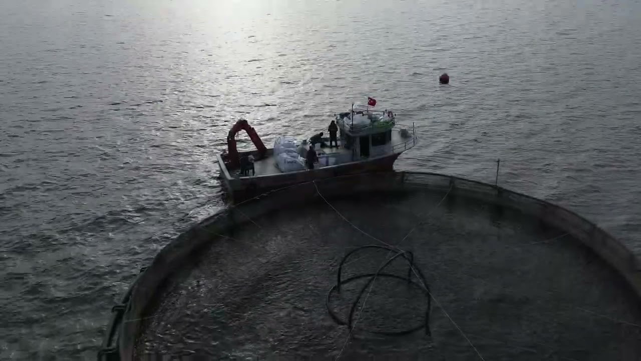 Yomra Su Ürünleri Pertek Barajından Sıradan Bir Gün