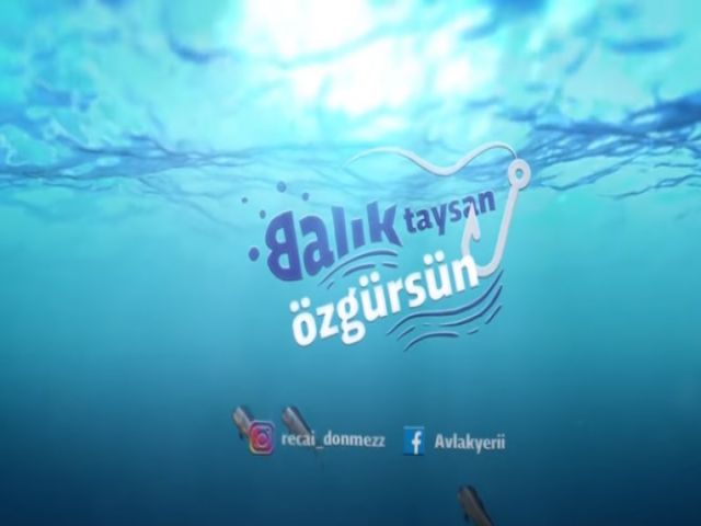 Küçükbahçe Çupra Baskını!! Göç Balıklarının Yuvasını Bulduk!!