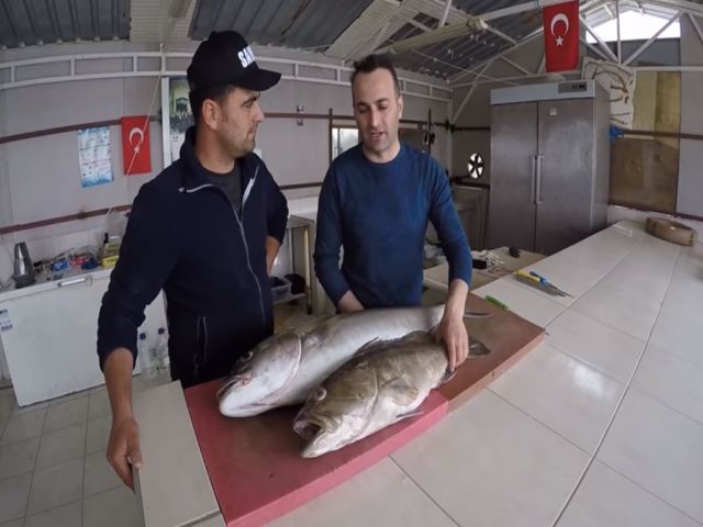 Mehmet Cheff ile Kuzu & Lahoz Temizleme