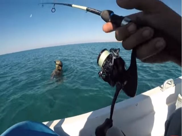 Oltacı-Zıpkıncı Kavgası