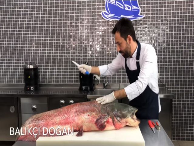 Yayın balığı nasıl temizlenir