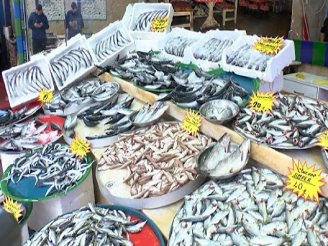 Balığın İçinde Ne Var?