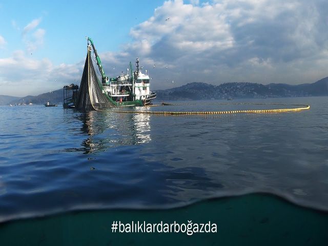 İsa Şahintürk : Balıklar Dar Boğazda ! İstanbul Boğazı 2021