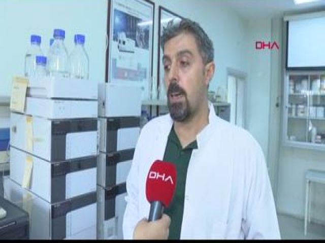 Van'da ölüme neden olan balon balığı, Mersin'den mi gönderildi?