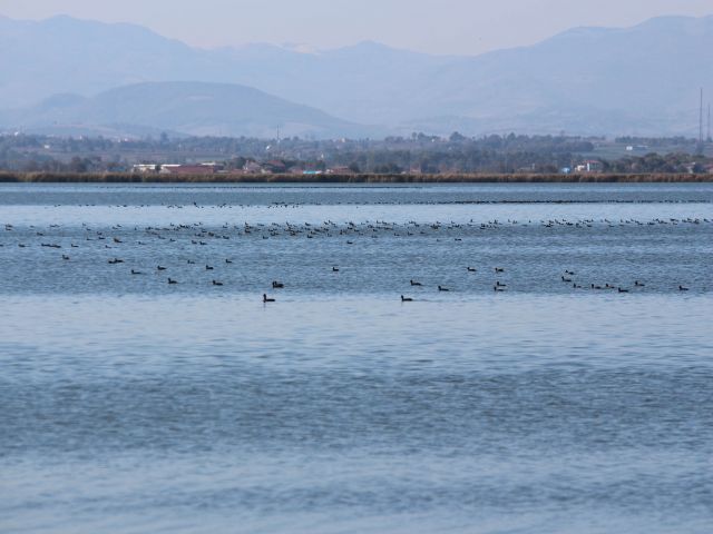 Kızılırmak Deltası Küçülüyor