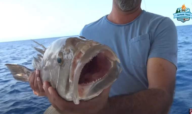 HAYALLERİMİZİN BALIĞI!! YENİ TEKNEMİZ ve DEV LAHOSLAR!!