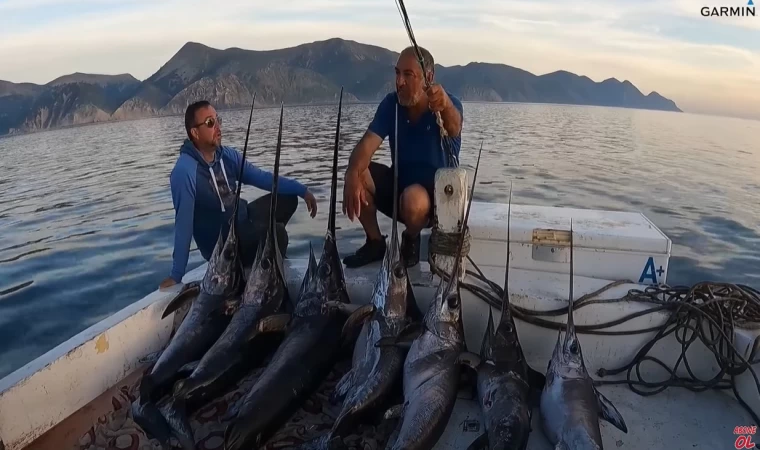 İLKER REİS 7 DE 7 YAPTI !!! | KILIÇ BALIĞINDA 7'Lİ KOMBO !!!