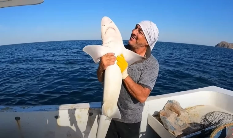 PARAGAT İLE DEVLERİ KAPTIK !!! | ŞOV BAŞLIYOR...