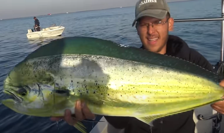 BODRUM'DA DEV BALIKLAR, DEV AKSİYONLAR!! (VLOG) Lambuka, Kofana ve Yakala- Pişir!