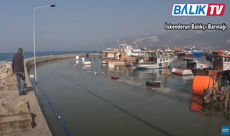 Depremler Sonrası İskenderun Balıkçı Barınağı “Hatay Artık Hepimizin Şahsi Meselesidir” 1 Mart 2023