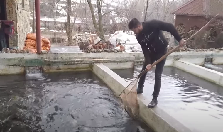 DEV BALIK ÜRETİM ÇİFTLİĞİNİ GEZDİM! Balık Üretimi ?