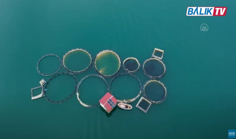 Kahramanmaraş'ta balıkçılık sektörü deprem sonrası toparlanmaya çalışıyor