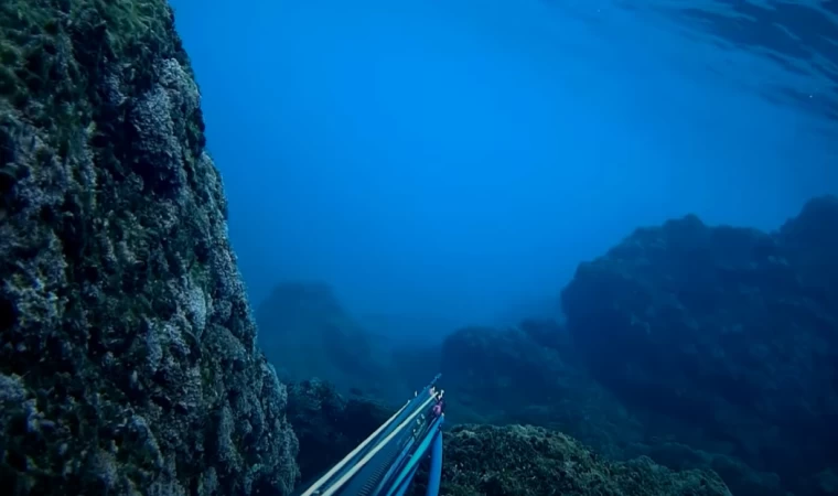 Marmaris Zıpkınla Balık Avı