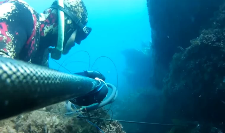 SIĞ SU ZIPKINLA BALIK AVI (BLEUTEC CARBON ZIPKIN - ÇİFT D15 LASTİK)