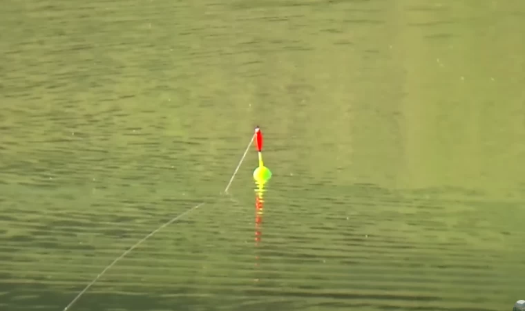 Top Şamandıralı Olta İle Büyük Balık Avı. Irmakta Aynalı Sazan Balığı Avı. Mısırla Sazan Avı 163