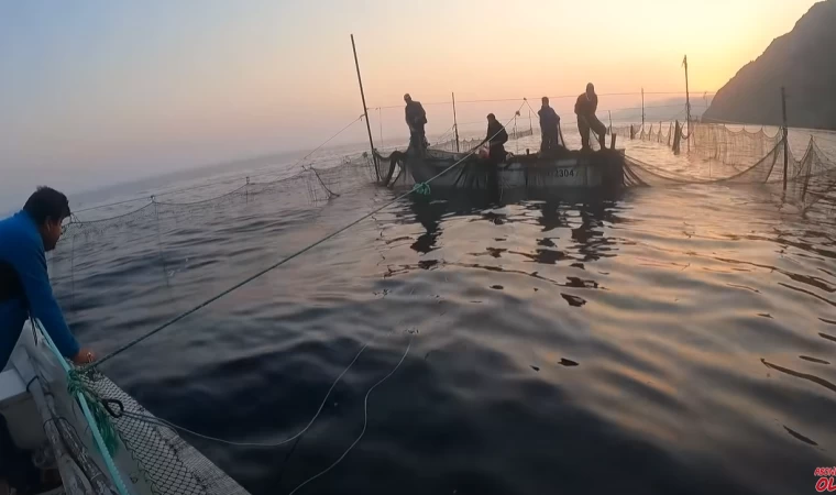 YOUTUBE'DA İLK DALYAN GÖRÜNTÜLERİ ! | SAROS KÖRFEZİNDE DALYAN AVCILIĞI | CANLI KALAMARLA TRANÇA AVI