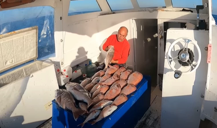 YUNAN SINIRINDA DEV BALIKLAR ! | BİRİ TEKİR, BİRİ BEKİR