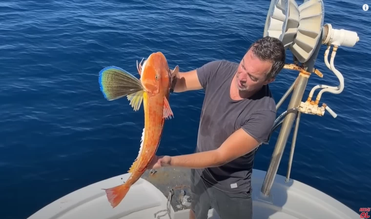 ZÜRAFA KAYALIĞI'NDA PARAGAT AVI! | GELEN DEVASA KALAMAR! | PARAGATTAKİ MERCANA SALDIRAN LAMBUKA!