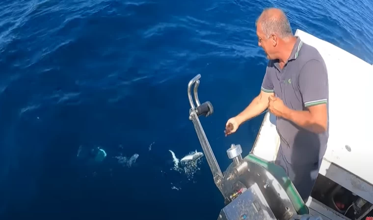 ÇAPARİ İLE KOLYOZ AVI YAPTIK !!! | TEK SEFERDE 60 İĞNE 60 BALIK