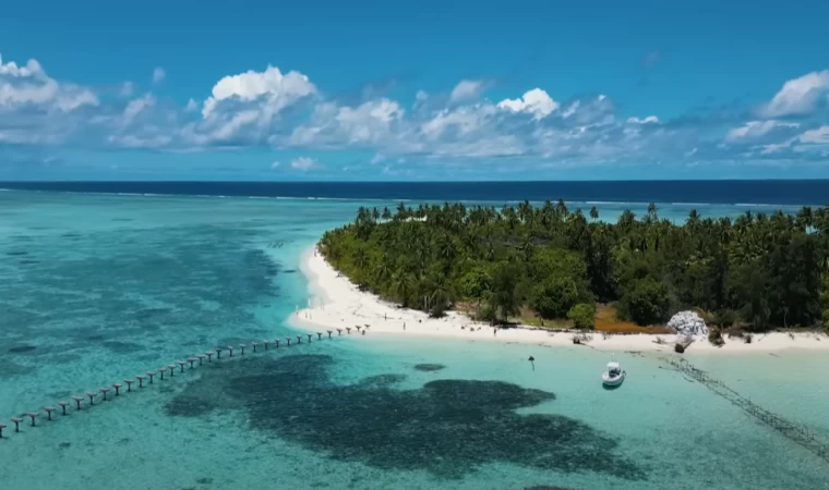 Denizlerin En Güçlü Balıklarını Yakaladık ve Issız Adada Yedik !!
