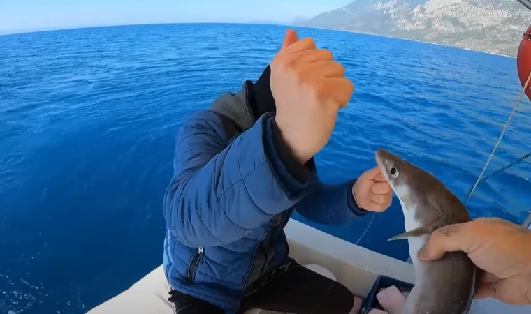 LAPA BALIĞI İLE KALIN PARAGAT ATTIM/GELMEYEN KALMADI #balıkçı #paragatavı #balıkavıvideoları