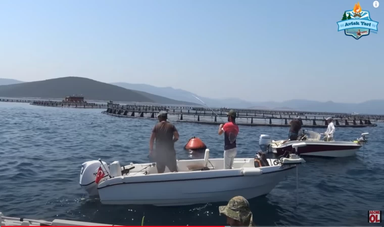 SPIN İLE SIRTIKARA REKORU!! Böyle Bir Av Yok! HERYERDEN DEV BALIKLAR ZIPLIYOR!!