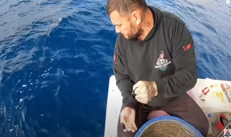 TAKOZ ÇUPRALAR SIRALI GELDİ/EKMEK PARAGADİSİ BEREKETLİ OLDU #balıkçı #paragatavı #balıkavıvideoları