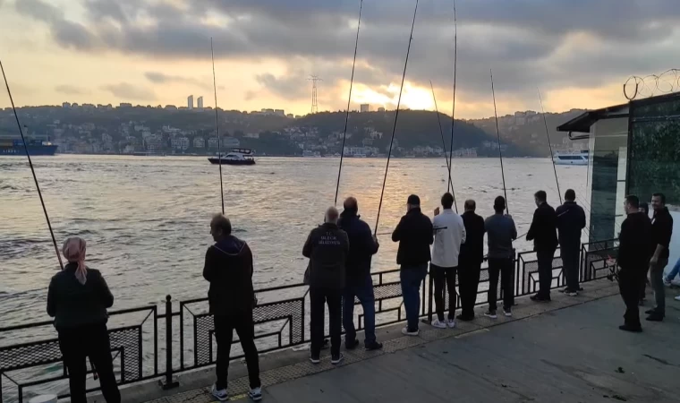 ÇAPARİ İLE ÇİNEKOP AVI !! VE TAKIM BİLGİSİ !!! İSTANBUL BALIK AVI !!!