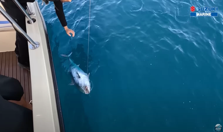 Kalamayı Ağlattı, Karalar Bağlattı, Sonra Tavayı Boyladı…