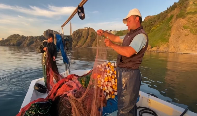 Rumeli Feneri Voli Avı