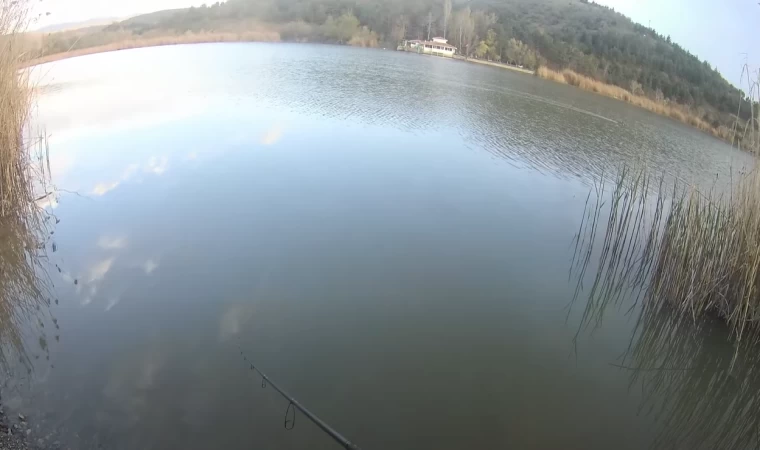 TURNA AVI 2023 ANKARA