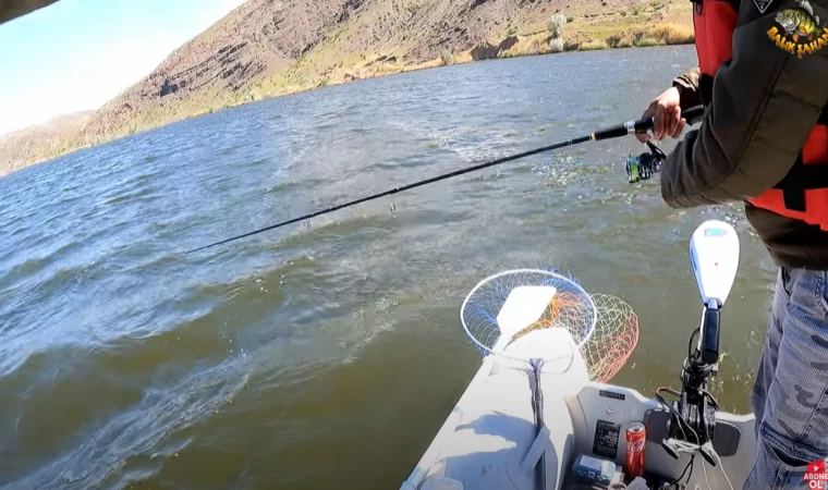 Turna Balık Avı.Bu Vibrasyonlar Çantayı Evde Bıraktırır.Cebine Koy Git