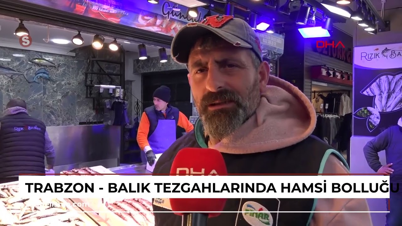 Trabzon - Balık tezgahlarında hamsi bolluğu