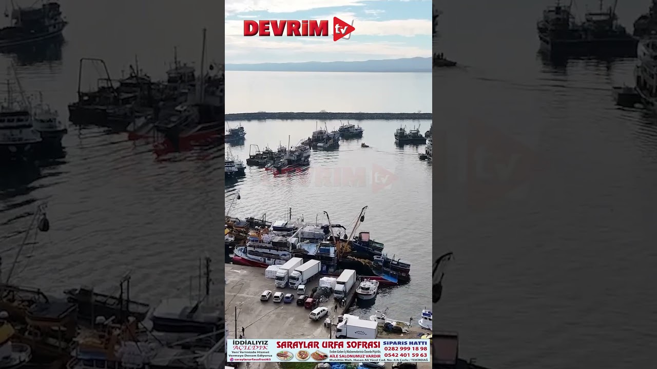 İĞNEADA AÇIKLARINDA HAMSİ BOLLUĞU YAŞANIYOR