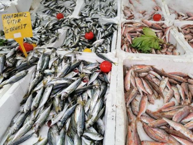 Karadeniz'de hamsinin yerini istavrit ve barbun aldı