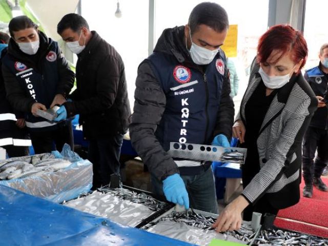 Van'da 'balon balığı' denetimi