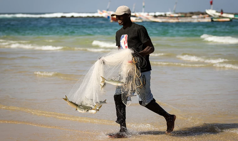 Senegal'de ekmeğini denizden çıkaranlar; geleneksel balıkçılar