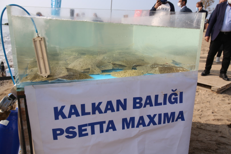 Kocaeli Büyükşehir Belediyesi'nden örnek etkinlik