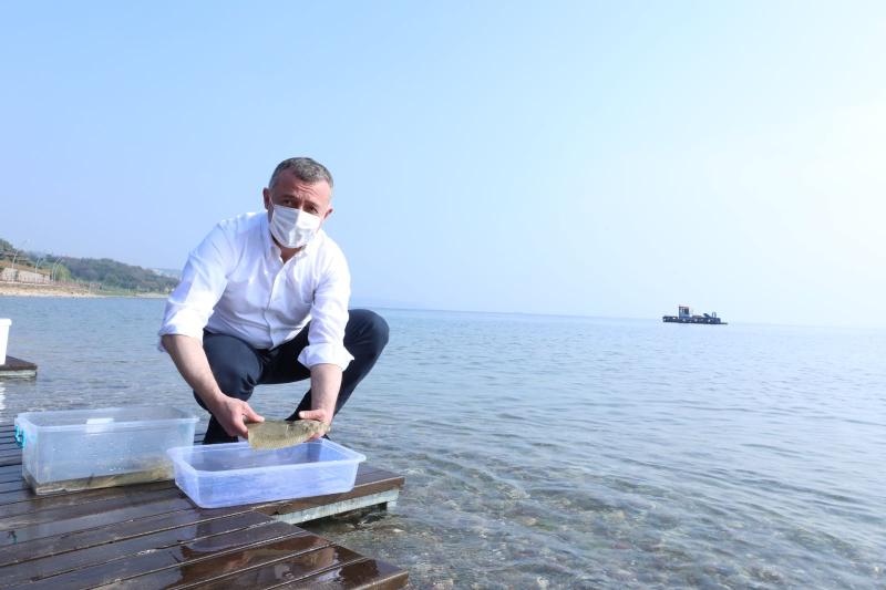 Kocaeli Büyükşehir Belediyesi'nden örnek etkinlik