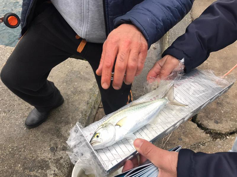 Sarıyer'de Amatör Olta Balıkçılarına Denetim