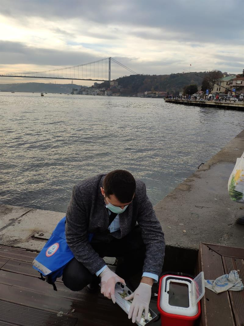 Sarıyer'de Amatör Olta Balıkçılarına Denetim