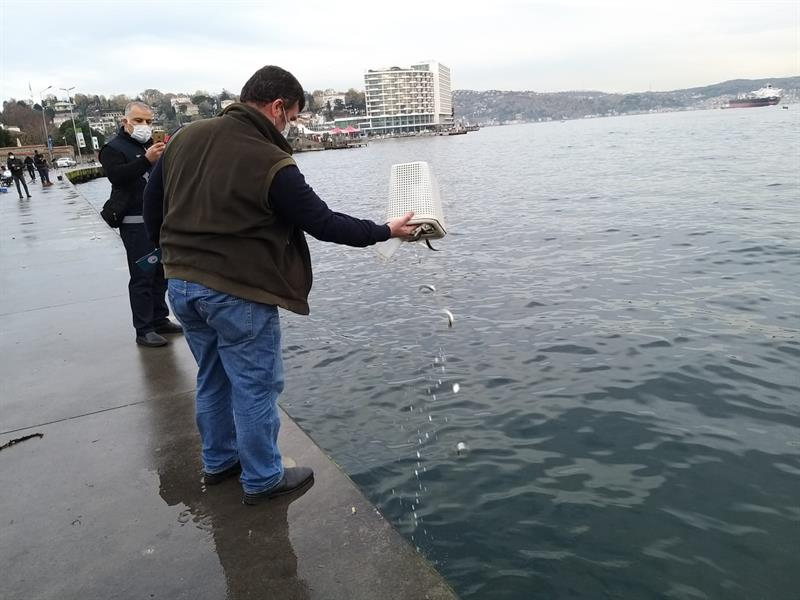 Sarıyer'de Amatör Olta Balıkçılarına Denetim