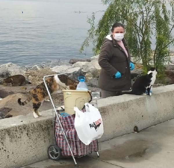 Selmin Sefa : "Olta Balıkçıları daha duyarlı olmalı"