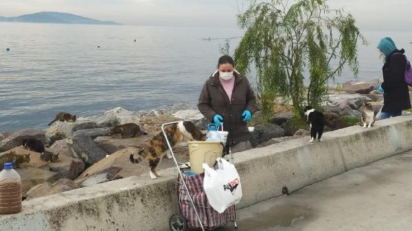 Selmin Sefa : "Olta Balıkçıları daha duyarlı olmalı"