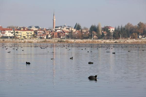 Kısıtlamayla Beyşehir Gölü'ndeki kuş sayısı arttı