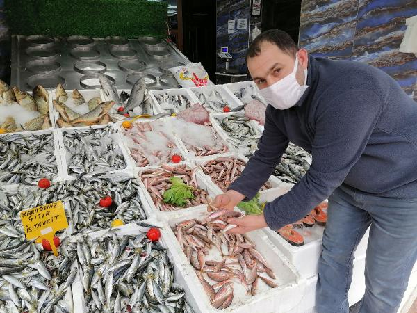 Karadeniz'de hamsinin yerini istavrit ve barbun aldı