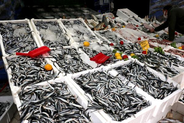 Karadeniz'de hamsinin yerini istavrit ve barbun aldı