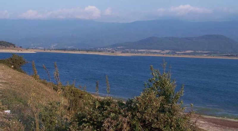 ASOF Carp Turkey 2021 Sportif Sazan Balığı Tutma Yarışması