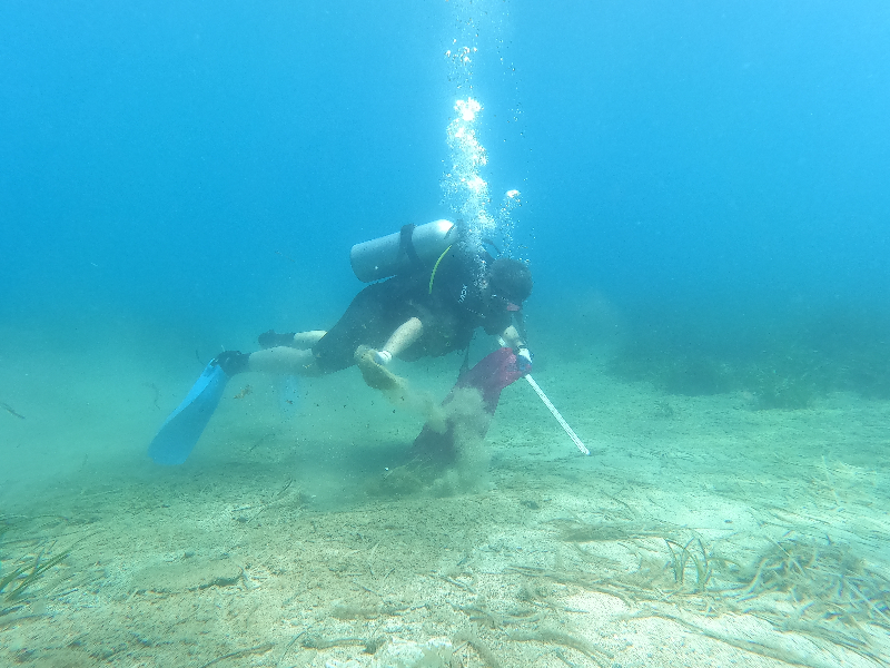 Bodrum'da dalgıçlar deniz dibi temizliği yaptı